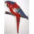 Rouge sélectionné