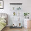 Display Cabinet-1382436645