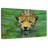 Brampt Swimming Jaguar-107845299