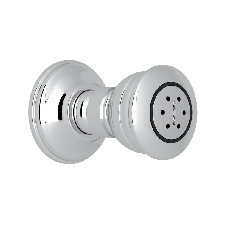 Michael Berman 2-Function Body Spray Fixed Shower Head