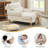 Davene Upholstered Chaise Lounge with Adjustable Backrest-1115440163-1115440173
