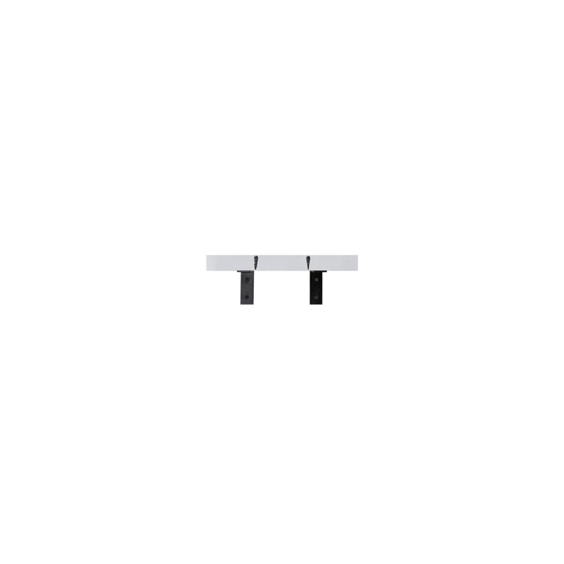 Rayne Plate Display Shelves With Hooks, White, 18/3/2