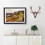 Mountain View in Scotland - Picture Frame Painting Print-56633464-56633465