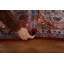 Tapis traditionnel rouge 8 x 11