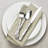 Tuscany 45 Piece Everyday Flatware Set