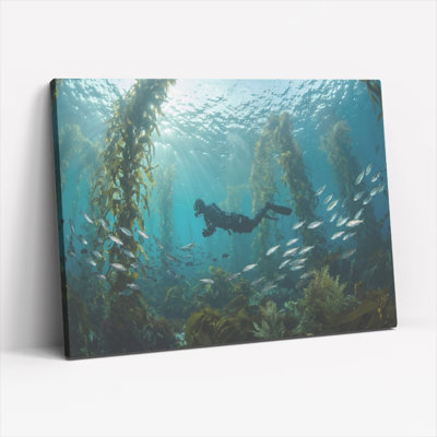 Underwater Kelp Forest Diver Scene Canvas Wrapped Wall Art Oil Painting Print Set Of 1