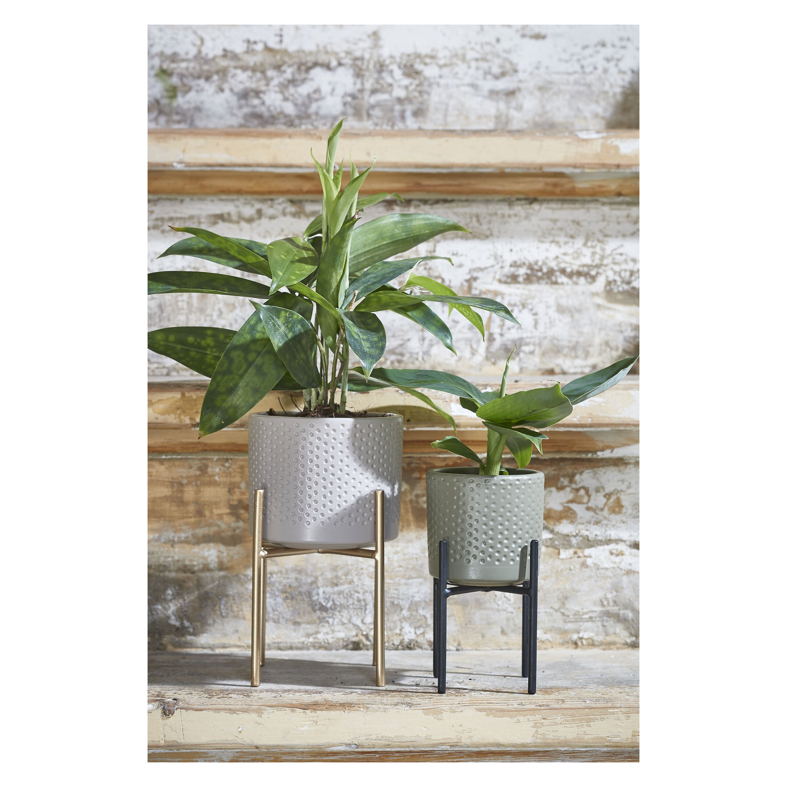 Edmon 3.75" Metal Plant Stand