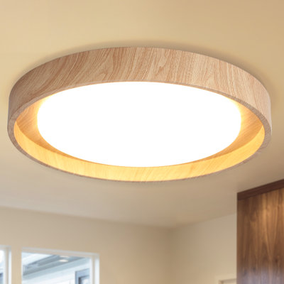 Round LED Flush Mount -19.68 Inch