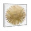 Sunburst Adore - impression-72508285-119405849-72508280