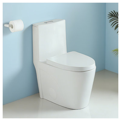 One-Piece Dual-Flush Elongated Toilet with Soft-Close Seat, 1.1/1.6 GPF Water-Efficient Ceramic Bowl in Glossy White