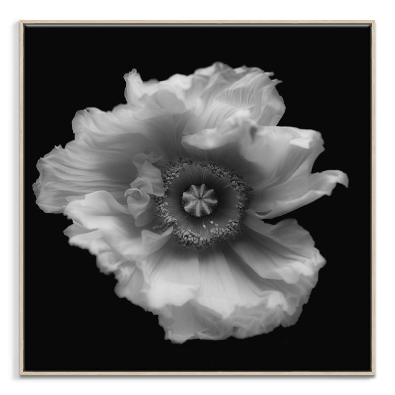 Print on Canvas, 102cm H x 102cm W, Timber Floater Frame