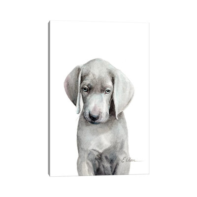 Weimaraner Puppy - Wrapped Canvas Gallery-Wrapped Canvas Giclée