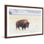 Parvez Taj - Single Picture Frame Print-19701406
