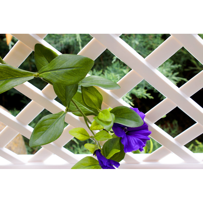 140cm H x 100cm W Plastic Expanding Trellis, White