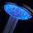 Handheld Shower Head 2.5 GPM GPM