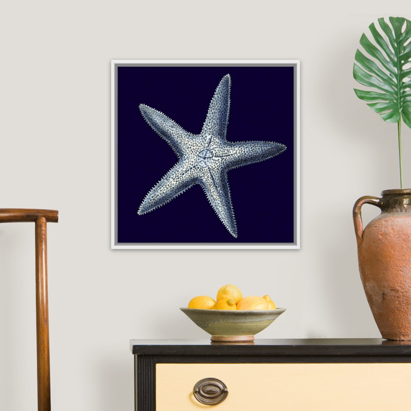 « Indigo shells IV » par vision studio-impression, Cadre blanc, H 32 po x l 32 po x 1,75 po