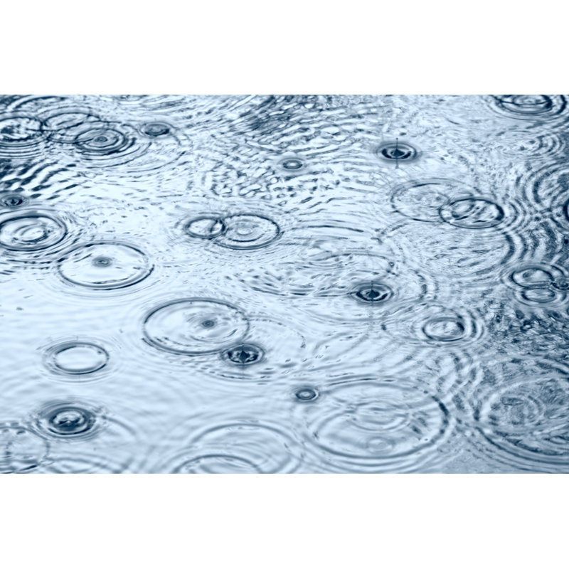 Raindrops - Photographie sur toile tendue, H 12 po x l 18 po