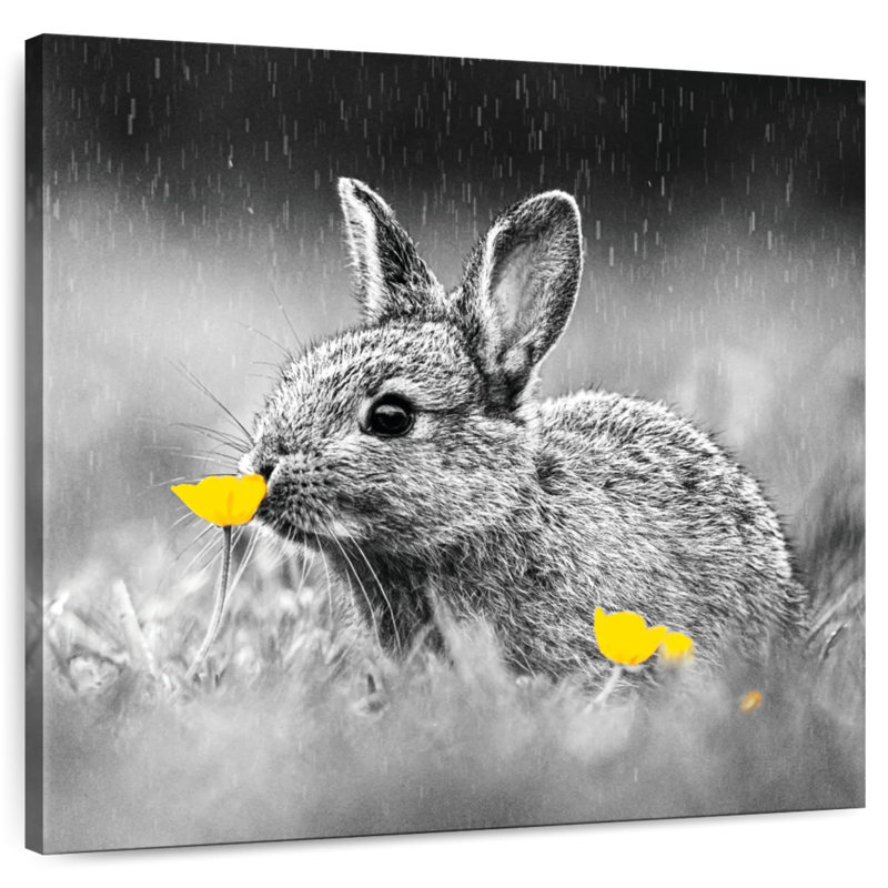 Brampt Bunny Sniffing Flower Pop