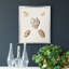 Toile encadrée Pastel Knorr Shells VI - prête à accrocher-141858855-141858852