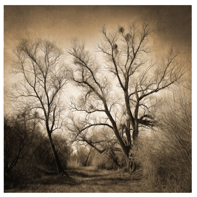 "sépia ghost" par philippe sainte-laudy,, impression sur toile, H 14 po x l 14 po x P 2 po