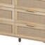 6-Drawers Rattan Storage Cabinet-602979341-544383282