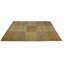 Wasif Area Rug in Brown