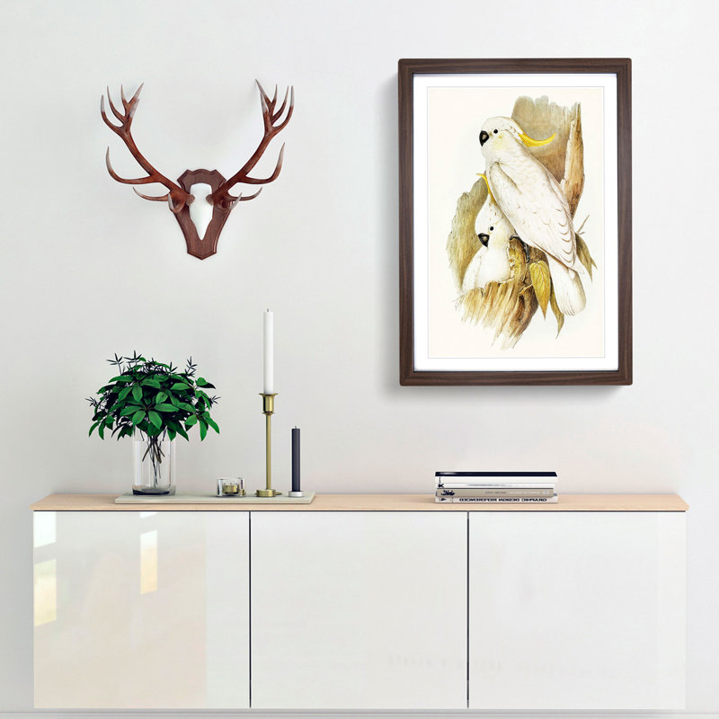 Crested Cockatoos by Elizabeth Gould - Framed Print, 36cm H x 27cm W x 2cm D, Walnut Framed