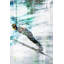 "Jump" par Parvez Taj - peinture sur toile tendue-2031826978