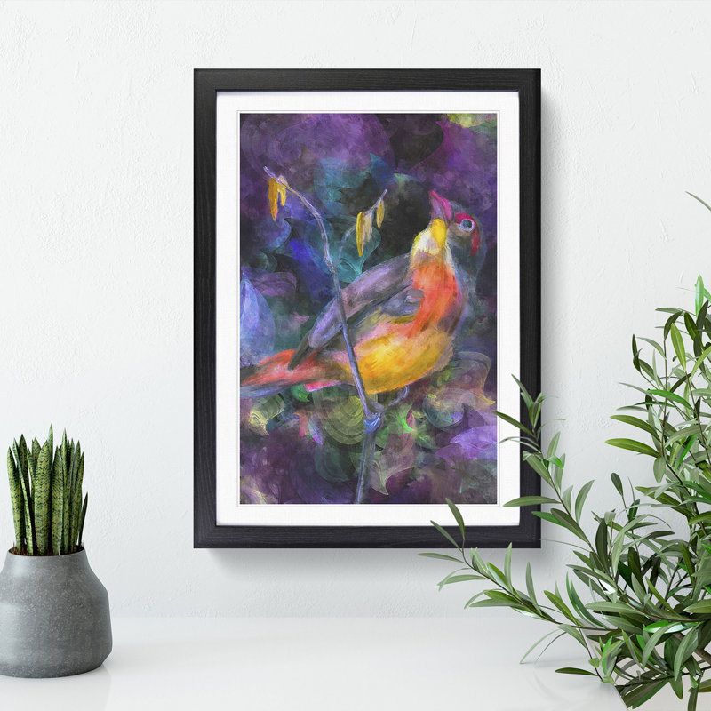 Colourful Bird - Picture Frame Graphic Art, 48cm H x 36cm W x 2cm D, Black Framed