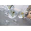 Dartington Crystal Gin Party 520ml Gin Balloon Glass Set