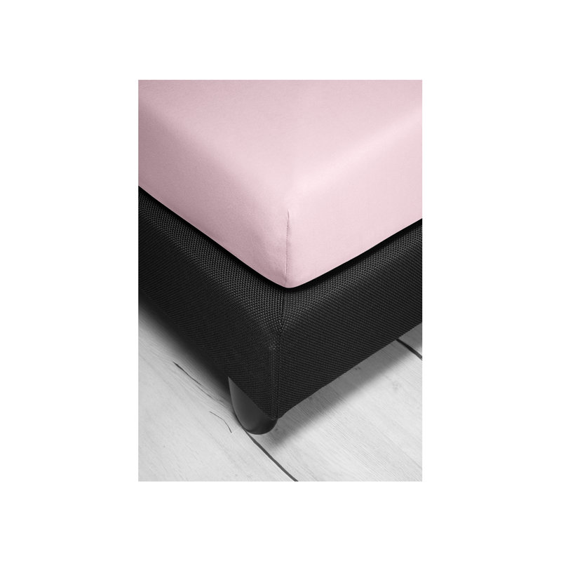 Jupiter 100% Cotton Jersey Knit Fitted Sheet, Light pink, 100-120 x 200-220cm