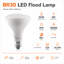 Ampoule DEL Euri Lighting BR30, 9 W, 810 lm, équivalent 65 W, 2700 K, culot E26, modulable, CEC/JA8, UL-136846392