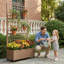 Planter Box-599340595-599340599