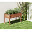 Lit de jardin surélevé avec jardinière