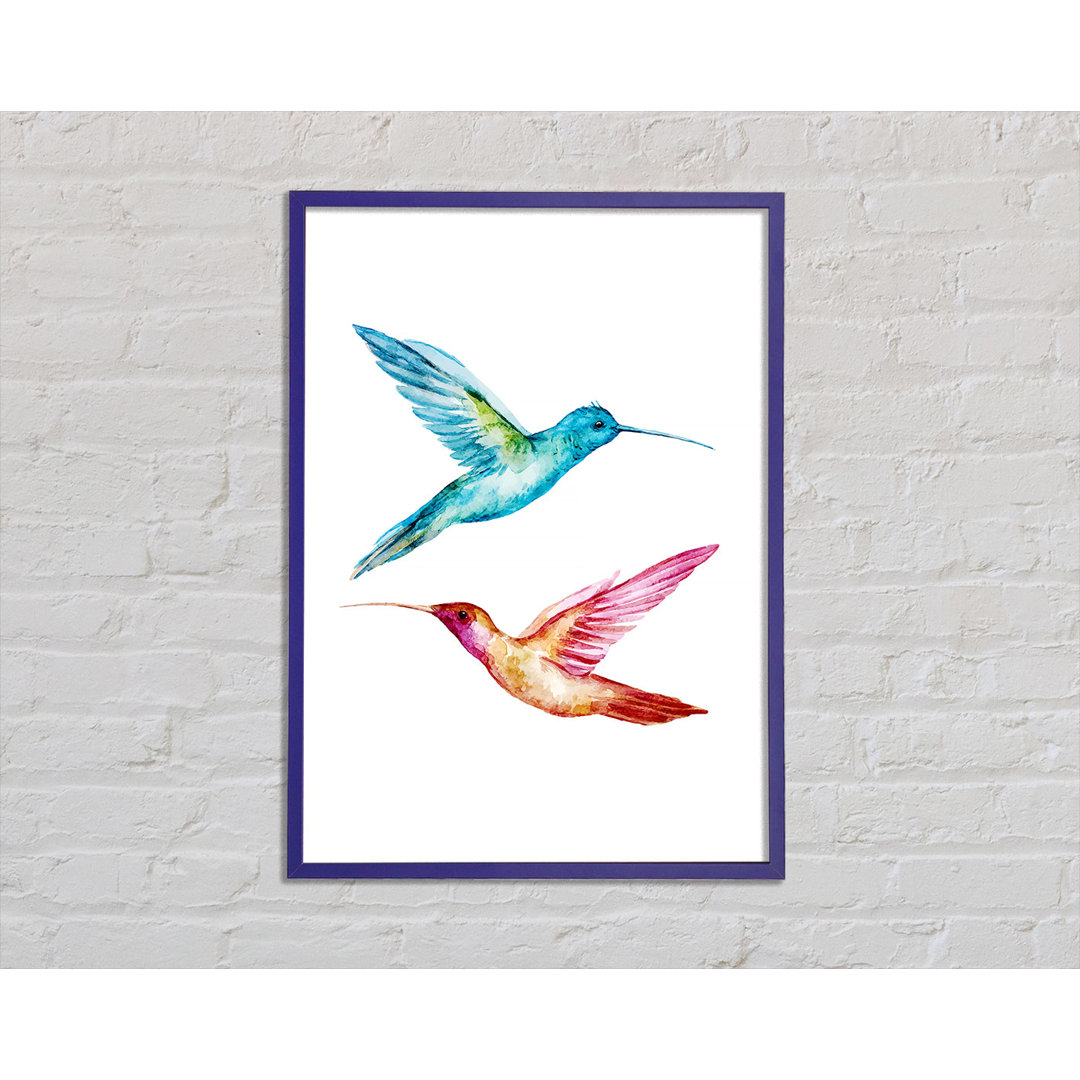 Aleta Hummingbird Duo Gerahmter Druck Wandkunst