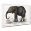 Elephant by Oliver Goldsmith - Wrapped Canvas-55373063