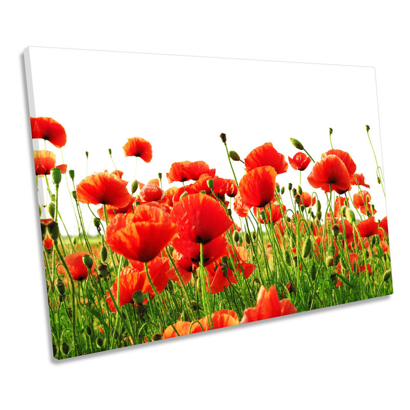 Red Poppies Flowers - Wrapped Canvas Print, 91.4cm H x 137.2cm W x 4cm D