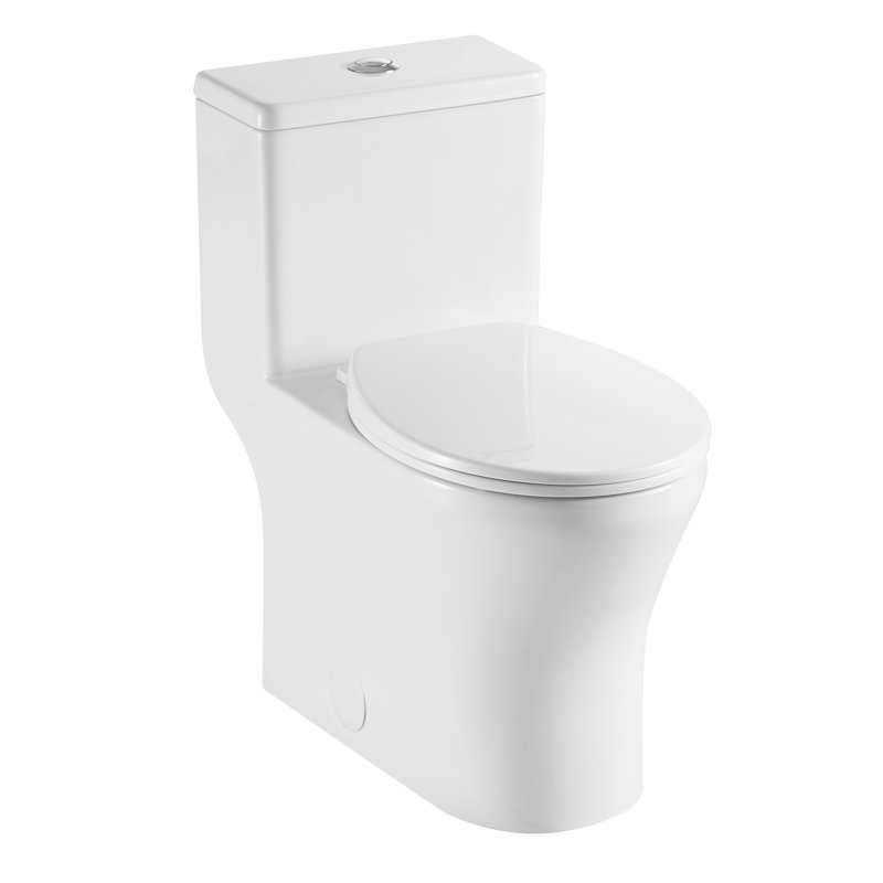 One Piece Toilet