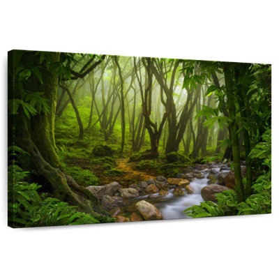 Alvord Mystic Tropical Forest