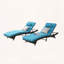 Ensemble de 2 chaises inclinables en osier avec dossier réglable à 5 positions-1664961416