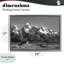 Cadre flottant John Moulton, par Steve Toole-294794962-294794966