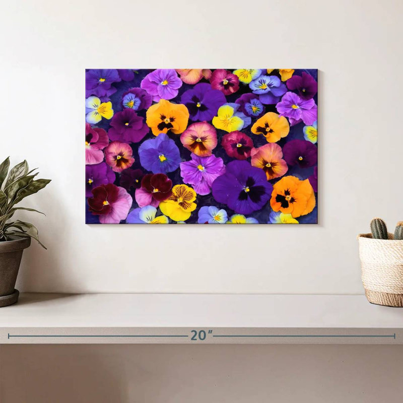 Couleurs Harnek Pansy, H 8 po x l 12 po