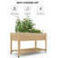 Elevated Planter-2115079187