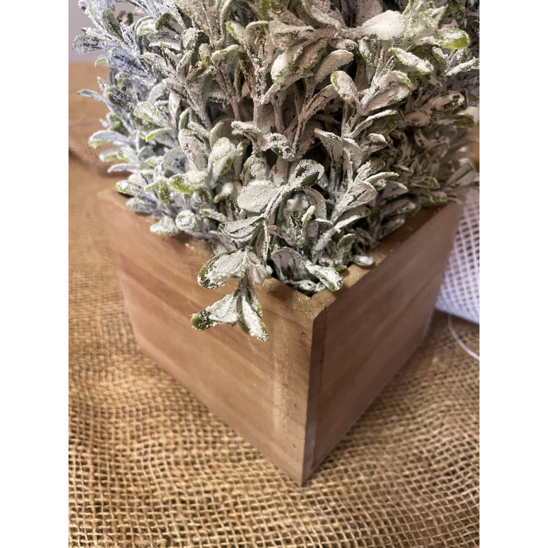 Topiaire cône de buis enneigé en pot de fleurs 16 po, H 36 po x l 7 po x P 7 po