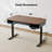 Calandra Height Adjustable Standing Desk