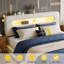 Ottoman Bed With LED Storage Headboard, Beige Velvet Upholstered Frame-1149462639