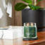 Bougie parfumée Balsam & Cedar-95467266