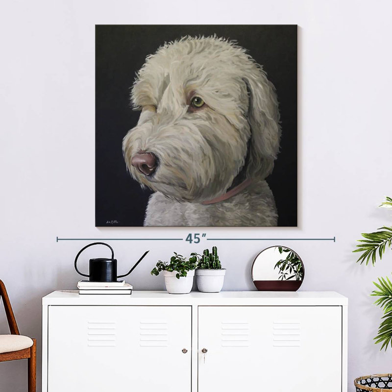 Crowle Labradoodle Goldendoodle