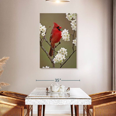 Brampt cardinal du nord et fleurs de poire