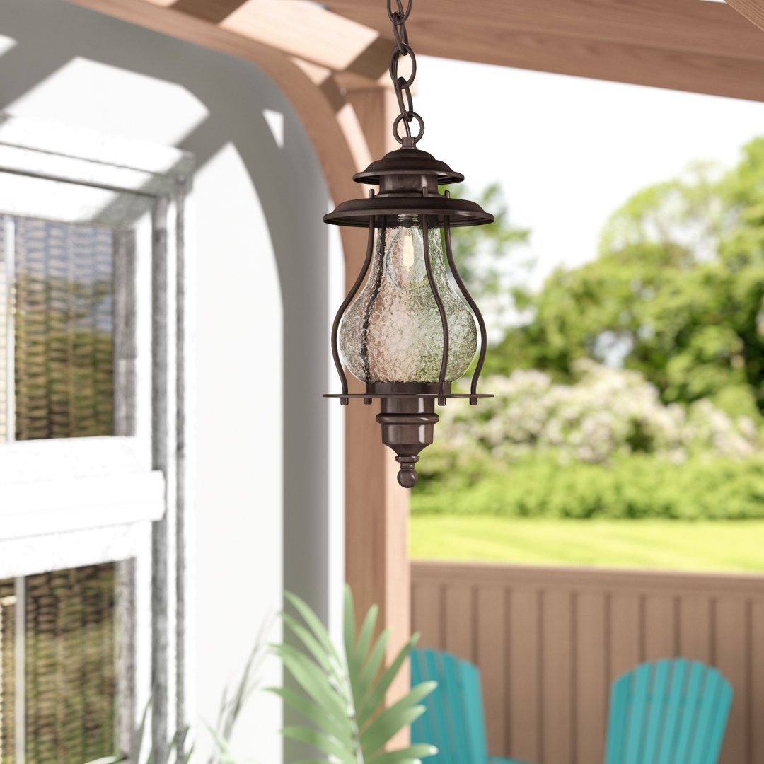 Derick 1 - Bulb 16.5" H Outdoor Hanging Lantern Alcott Hill® 